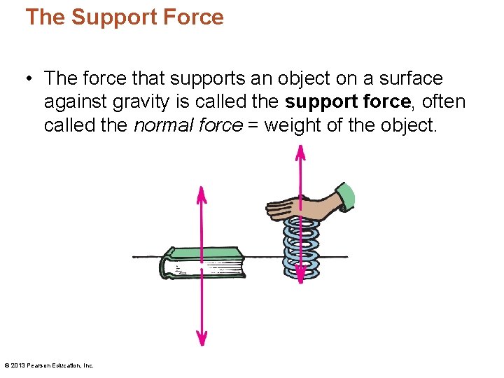 The Support Force • The force that supports an object on a surface against