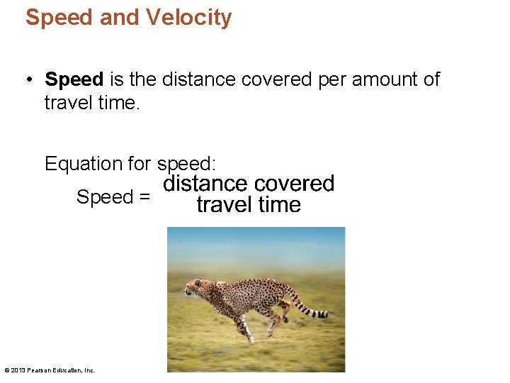 Speed and Velocity • Speed is the distance covered per amount of travel time.