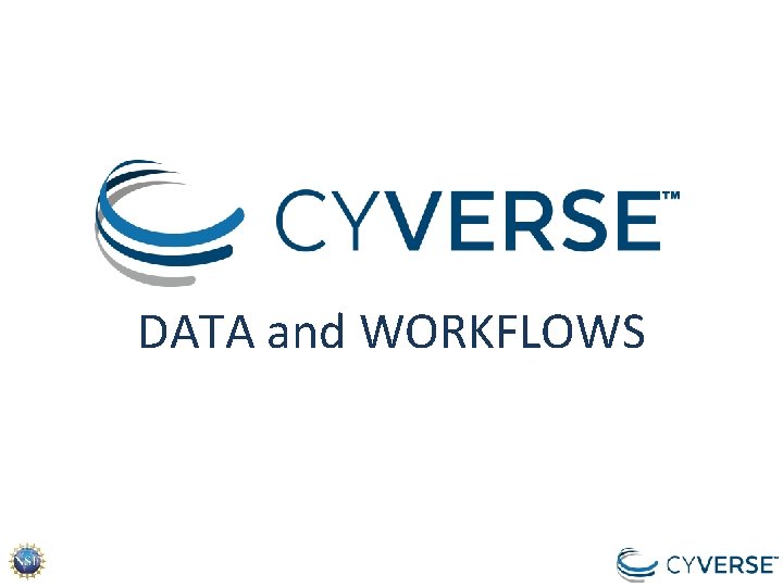 DATA and WORKFLOWS DATA and WORKFLOWS