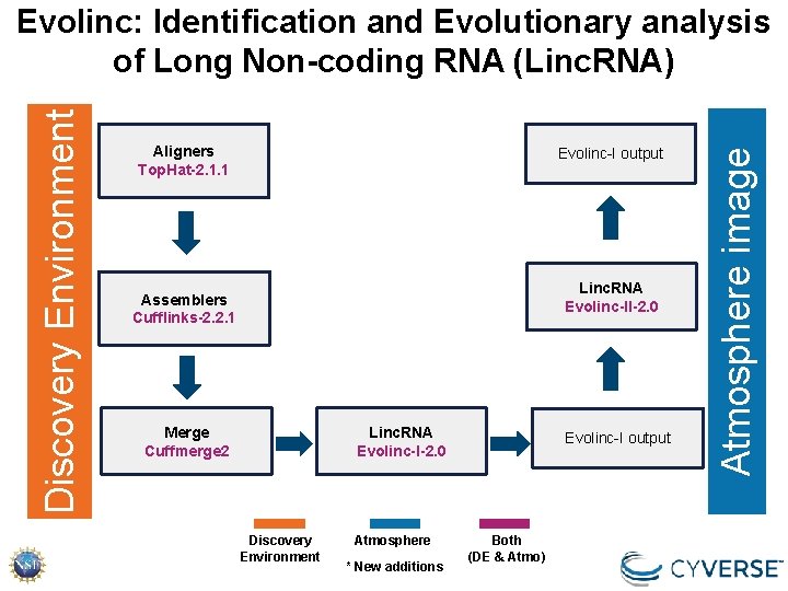 Aligners Top. Hat-2. 1. 1 Evolinc-I output Linc. RNA Evolinc-II-2. 0 Assemblers Cufflinks-2. 2. Aligners Top. Hat-2. 1. 1 Evolinc-I output Linc. RNA Evolinc-II-2. 0 Assemblers Cufflinks-2. 2.