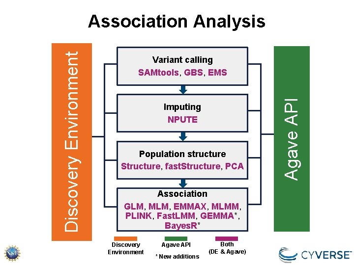 Variant calling SAMtools, GBS, EMS Imputing NPUTE Population structure Structure, fast. Structure, PCA Association Variant calling SAMtools, GBS, EMS Imputing NPUTE Population structure Structure, fast. Structure, PCA Association