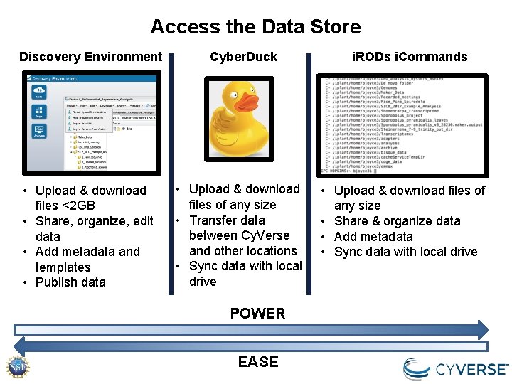 Access the Data Store Discovery Environment • Upload & download files <2 GB • Access the Data Store Discovery Environment • Upload & download files <2 GB •
