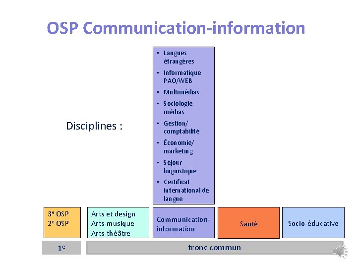 OSP Communication-information • Langues étrangères • Informatique PAO/WEB • Multimédias • Sociologiemédias Disciplines :