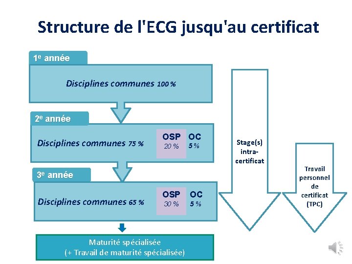 Structure de l'ECG jusqu'au certificat 1 e année Disciplines communes 100 % 2 e
