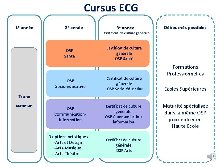 Cursus ECG 1 e année 2 e année 3 e année Débouchés possibles Certificat