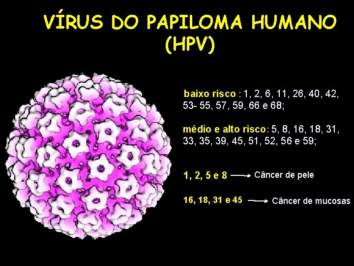 VÍRUS DO PAPILOMA HUMANO (HPV) baixo risco : 1, 2, 6, 11, 26, 40,