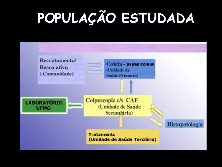 POPULAÇÃO ESTUDADA 