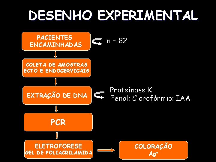 DESENHO EXPERIMENTAL PACIENTES ENCAMINHADAS n = 82 COLETA DE AMOSTRAS ECTO E ENDOCERVICAIS EXTRAÇÃO