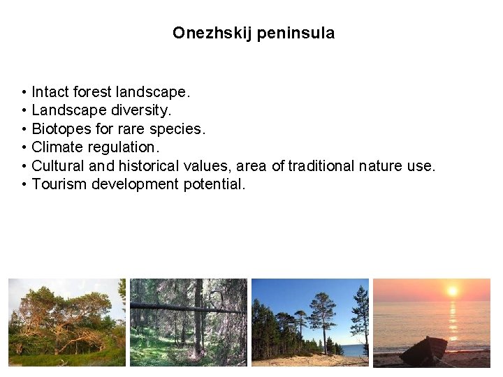 Onezhskij peninsula • Intact forest landscape. • Landscape diversity. • Biotopes for rare species.