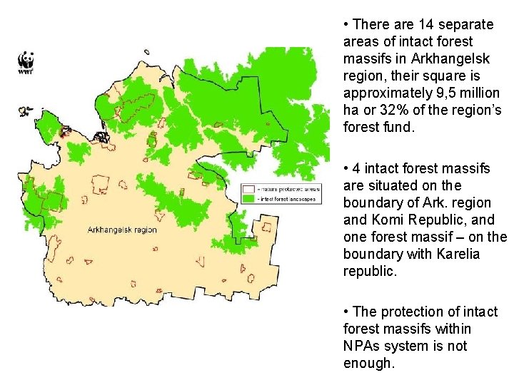  • There are 14 separate areas of intact forest massifs in Arkhangelsk region,