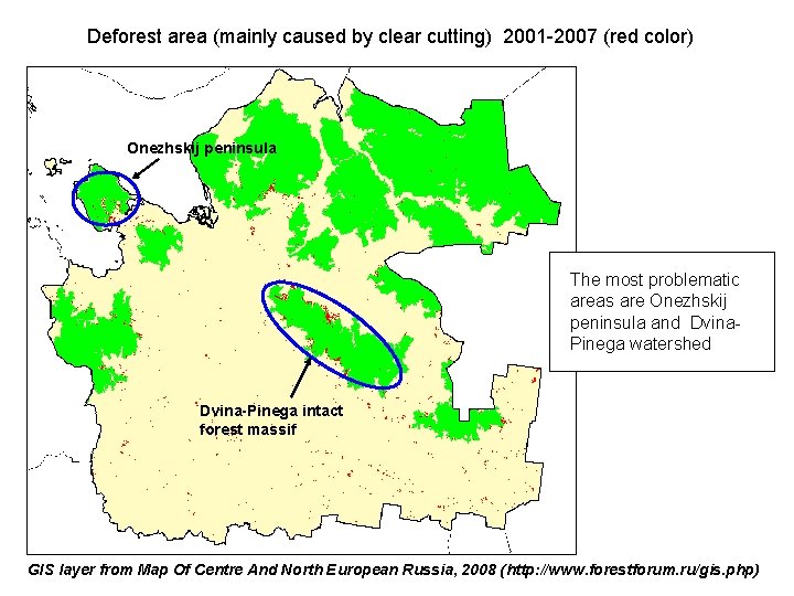 Deforest area (mainly caused by clear cutting) 2001 -2007 (red color) Onezhskij peninsula The