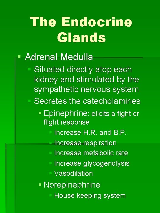 The Endocrine Glands § Adrenal Medulla § Situated directly atop each kidney and stimulated