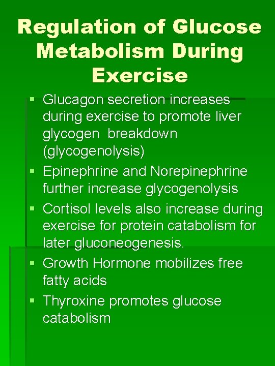 Regulation of Glucose Metabolism During Exercise § Glucagon secretion increases during exercise to promote