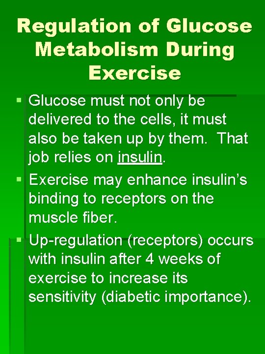 Regulation of Glucose Metabolism During Exercise § Glucose must not only be delivered to