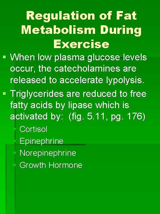 Regulation of Fat Metabolism During Exercise § When low plasma glucose levels occur, the