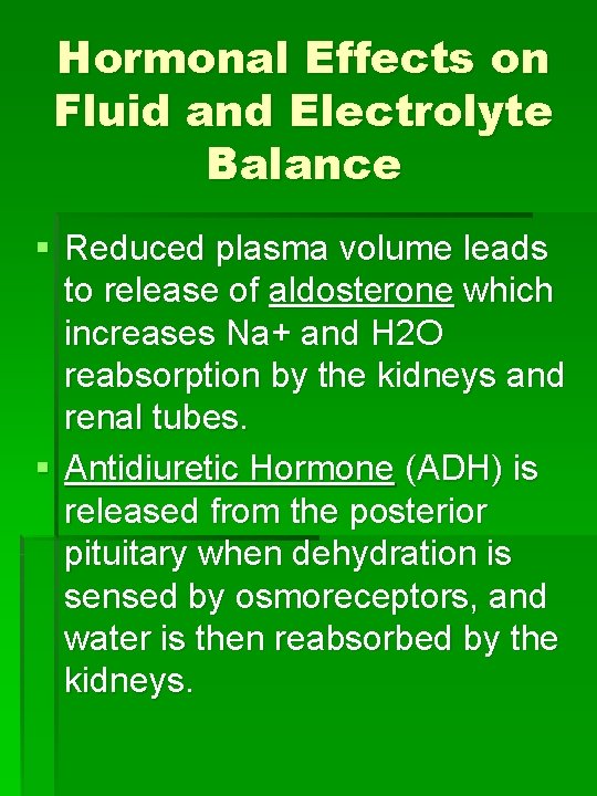 Hormonal Effects on Fluid and Electrolyte Balance § Reduced plasma volume leads to release