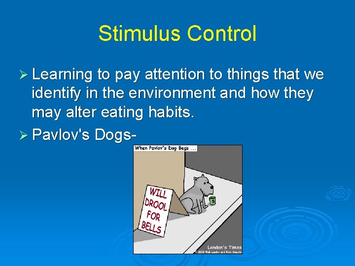 Stimulus Control Ø Learning to pay attention to things that we identify in the