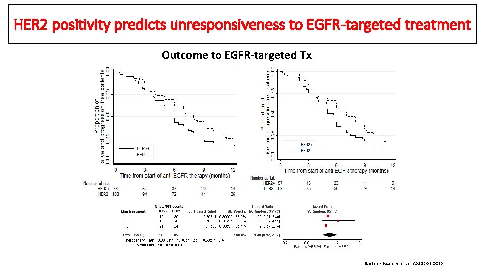 HER 2 positivity predicts unresponsiveness to EGFR-targeted treatment Outcome to EGFR-targeted Tx Sartore-Bianchi et