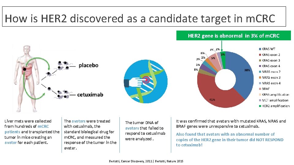 How is HER 2 discovered as a candidate target in m. CRC HER 2