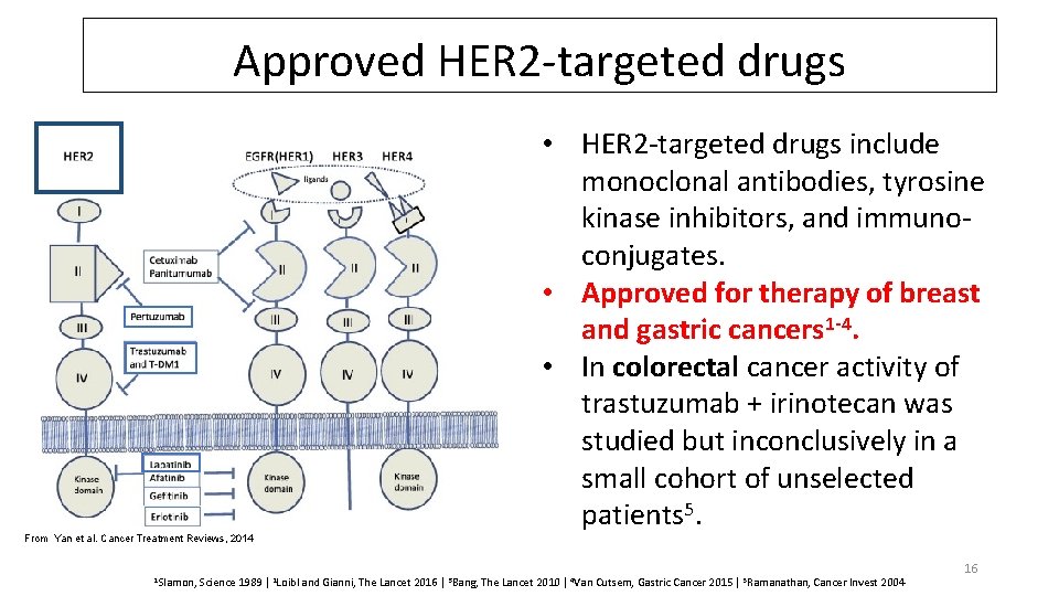 Approved HER 2 -targeted drugs From Yan et al. Cancer Treatment Reviews, 2014 1