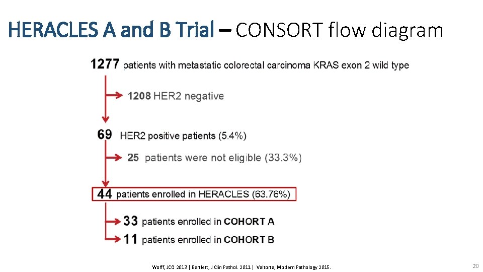 HERACLES A and B Trial – CONSORT flow diagram Wolff, JCO 2013 | Bartlett,