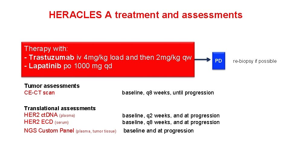 HERACLES A treatment and assessments Therapy with: - Trastuzumab iv 4 mg/kg load and