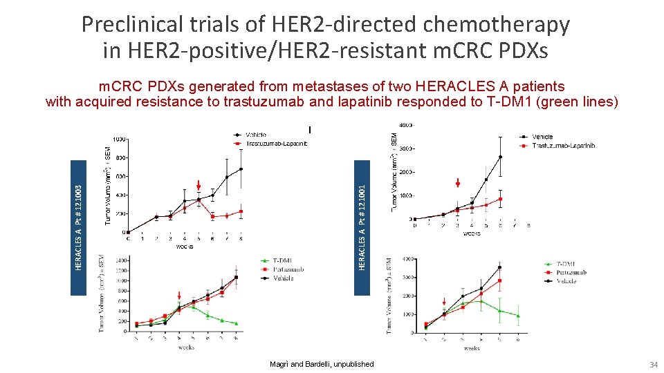 Preclinical trials of HER 2 -directed chemotherapy in HER 2 -positive/HER 2 -resistant m.