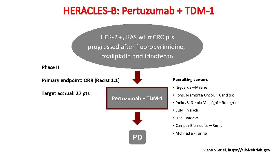 HERACLES-B: Pertuzumab + TDM-1 HER-2 +, RAS wt m. CRC pts progressed after fluoropyrimidine,
