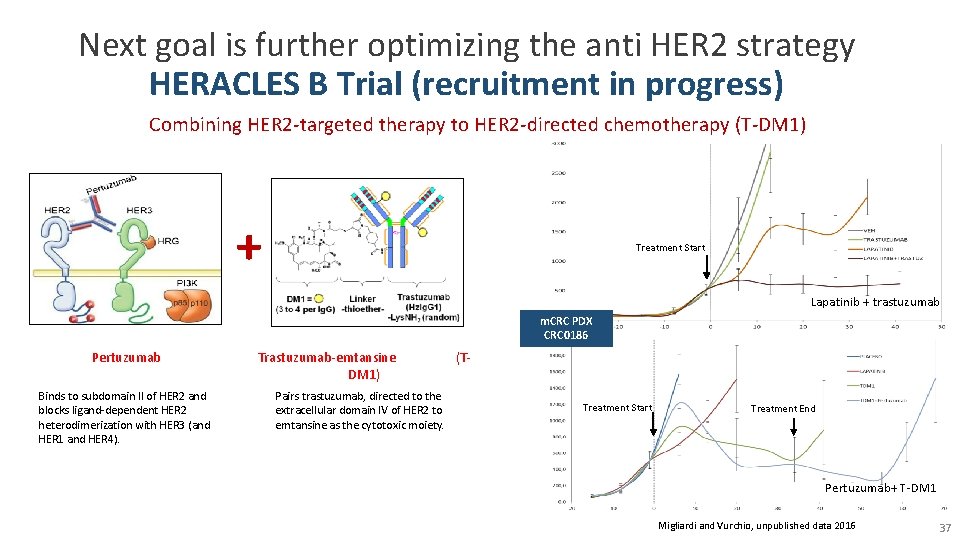 Next goal is further optimizing the anti HER 2 strategy HERACLES B Trial (recruitment