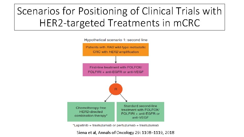 Scenarios for Positioning of Clinical Trials with HER 2 -targeted Treatments in m. CRC