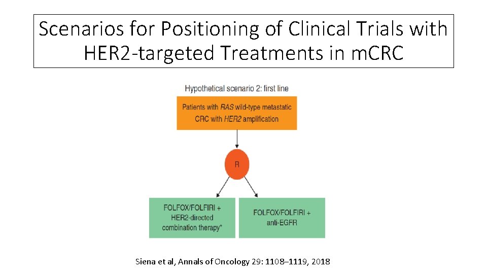 Scenarios for Positioning of Clinical Trials with HER 2 -targeted Treatments in m. CRC
