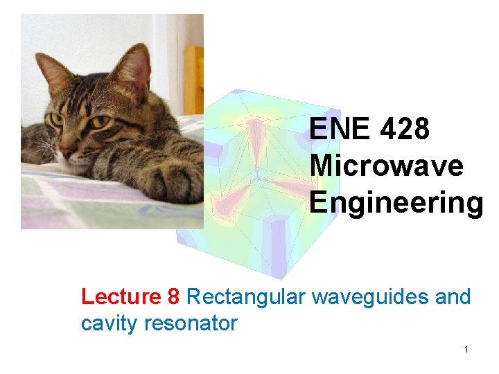 ENE 428 Microwave Engineering Lecture 8 Rectangular waveguides and cavity resonator 1 