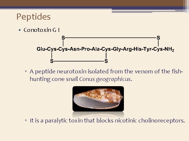 Peptides • Conotoxin G I ▫ A peptide neurotoxin isolated from the venom of