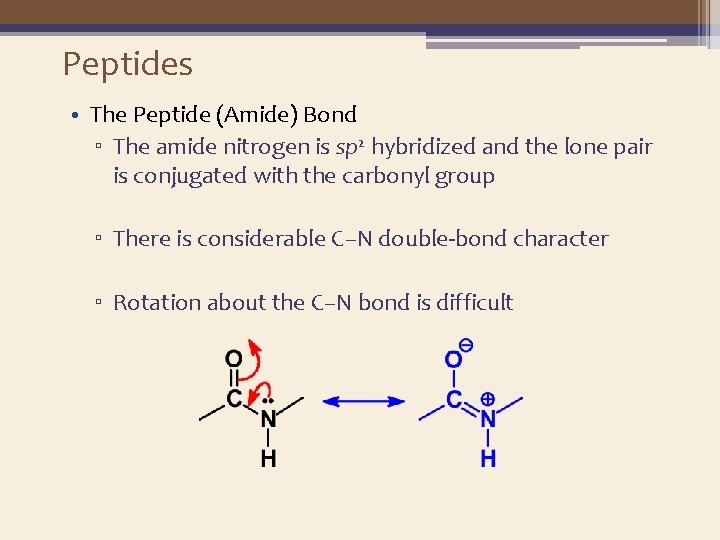 Peptides • The Peptide (Amide) Bond ▫ The amide nitrogen is sp 2 hybridized