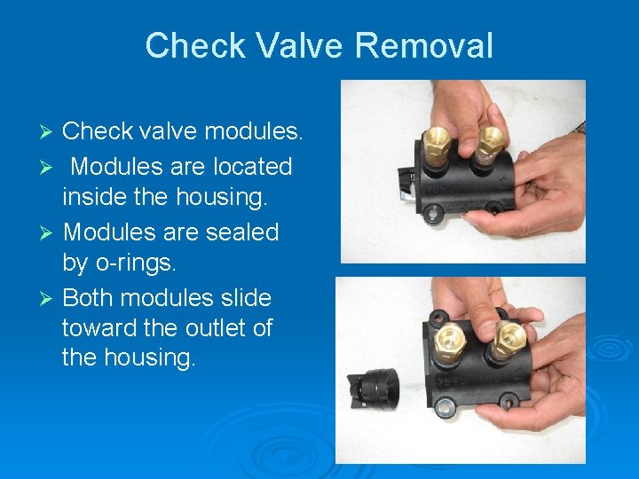 Check Valve Removal Check valve modules. Ø Modules are located inside the housing. Ø