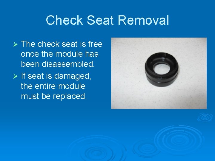 Check Seat Removal The check seat is free once the module has been disassembled.