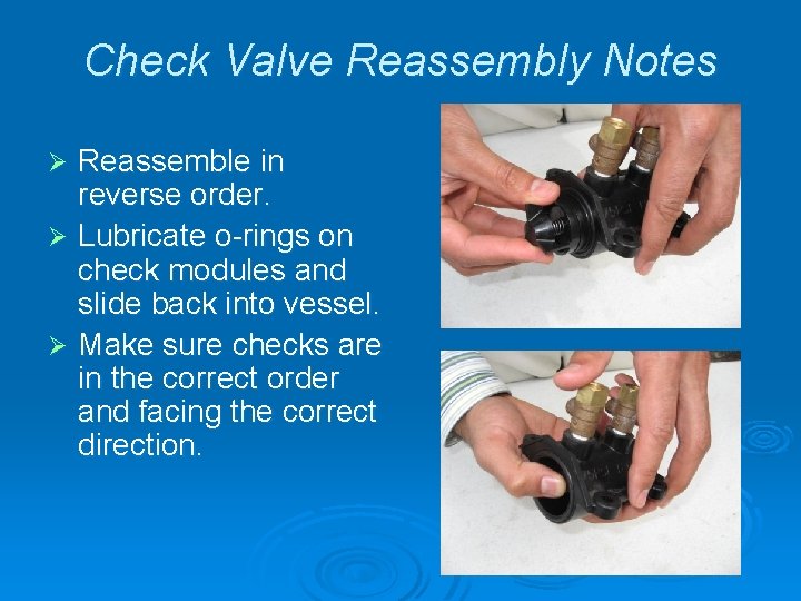 Check Valve Reassembly Notes Reassemble in reverse order. Ø Lubricate o-rings on check modules