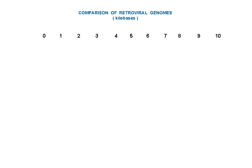 COMPARISON OF RETROVIRAL GENOMES ( kilobases ) 0 1 2 3 4 5 6