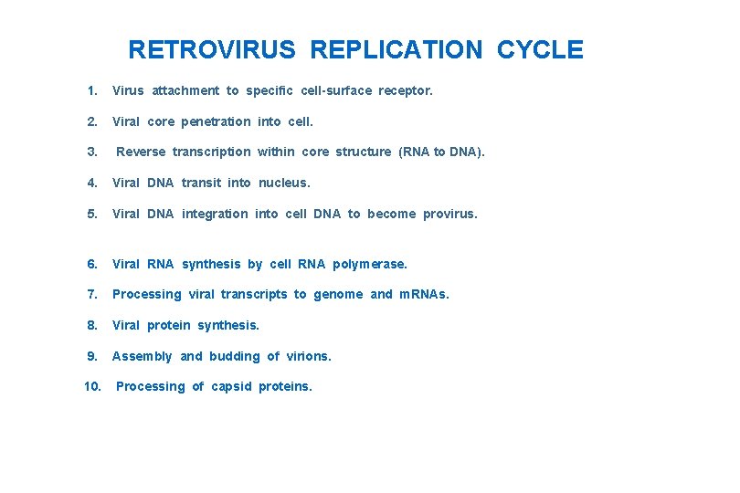 RETROVIRUS REPLICATION CYCLE 1. Virus attachment to specific cell-surface receptor. 2. Viral core penetration