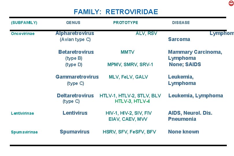 FAMILY: RETROVIRIDAE (SUBFAMILY) Oncovirinae GENUS PROTOTYPE Alpharetrovirus (type B) (type D) Gammaretrovirus Sarcoma MMTV