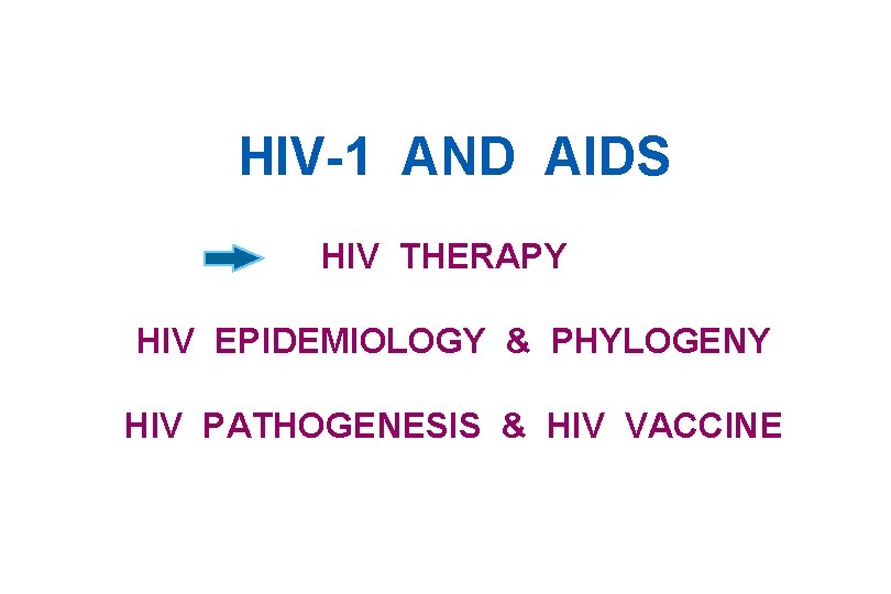 HIV-1 AND AIDS HIV THERAPY HIV EPIDEMIOLOGY & PHYLOGENY HIV PATHOGENESIS & HIV VACCINE