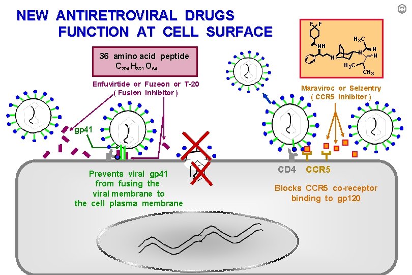 NEW ANTIRETROVIRAL DRUGS FUNCTION AT CELL SURFACE F F H 3 C NH 36