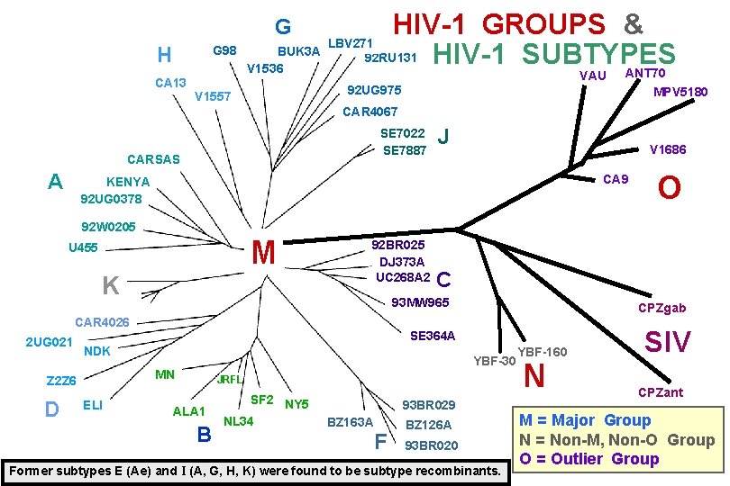 HIV-1 GROUPS & LBV 271 BUK 3 A 92 RU 131 HIV-1 SUBTYPES V