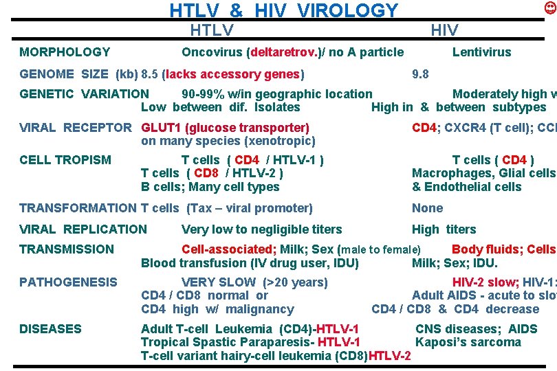 HTLV & HIV VIROLOGY HTLV MORPHOLOGY HIV Oncovirus (deltaretrov. )/ no A particle GENOME