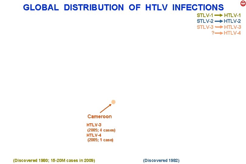 GLOBAL DISTRIBUTION OF HTLV INFECTIONS STLV-1 STLV-2 STLV-3 ? Cameroon HTLV-3 (2005; 4 cases)