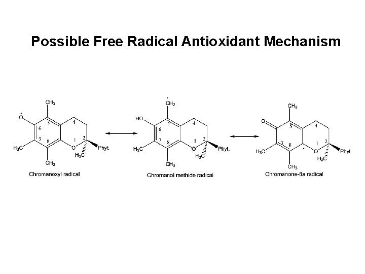 Possible Free Radical Antioxidant Mechanism 