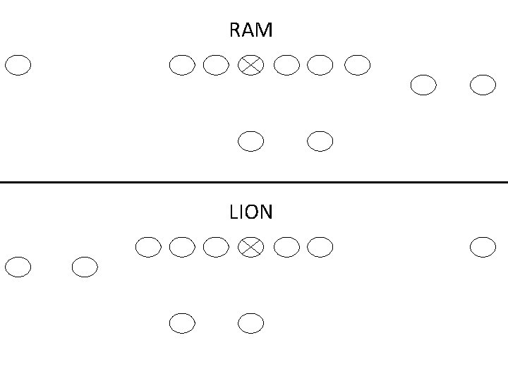 RAM LION 