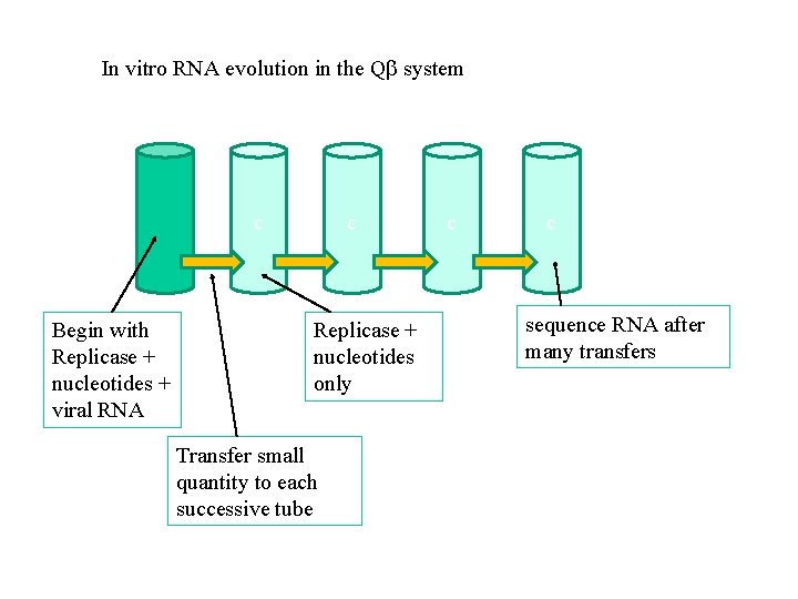 In vitro RNA evolution in the Q system c Begin with Replicase + nucleotides