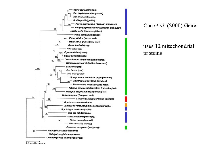 Cao et al. (2000) Gene uses 12 mitochondrial proteins 