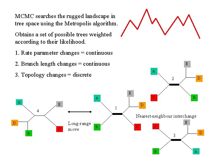 MCMC searches the rugged landscape in tree space using the Metropolis algorithm. Obtains a